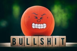 Bullshit